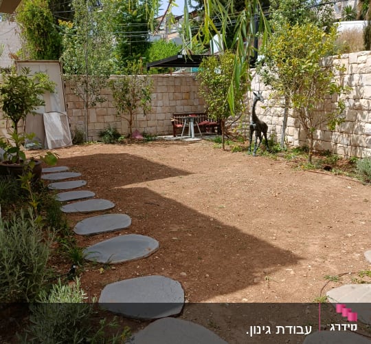 שביל אבנים בגינה עם עצים ושיחים